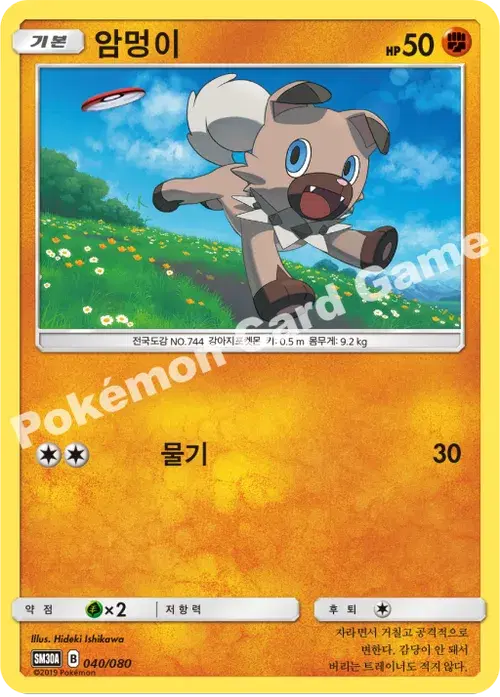 암멍이