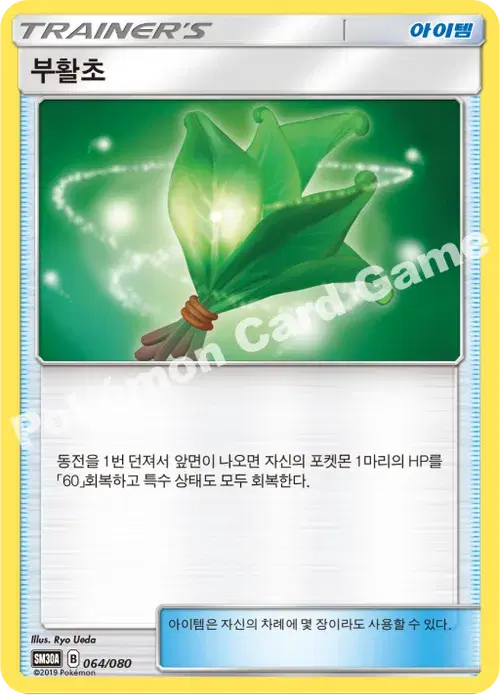 부활초