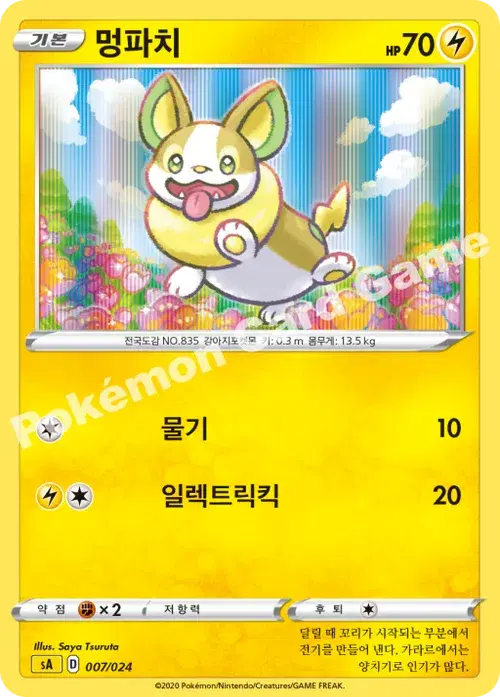 멍파치
