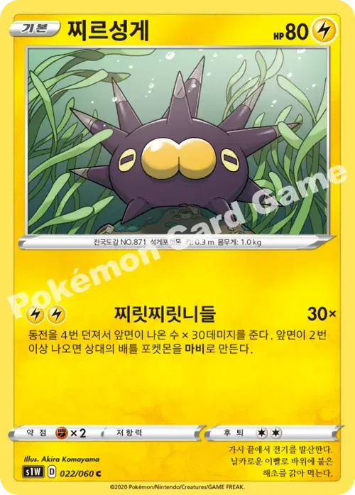 찌르성게