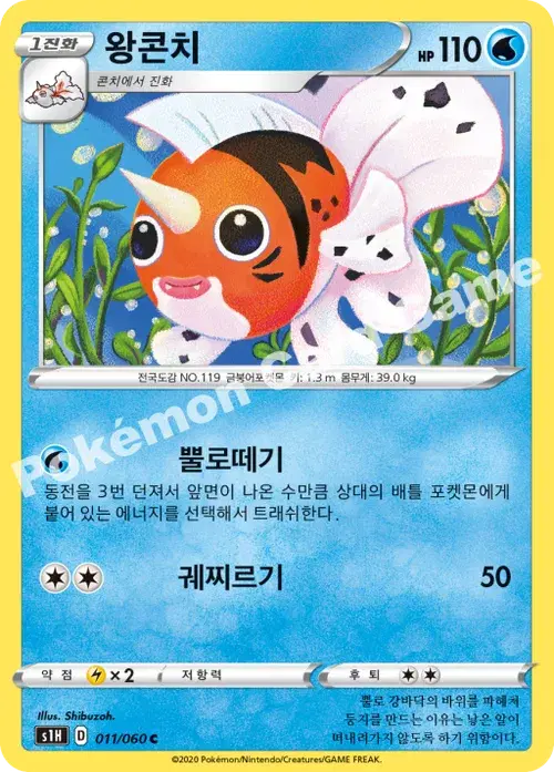 왕콘치