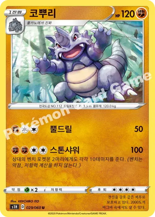 코뿌리