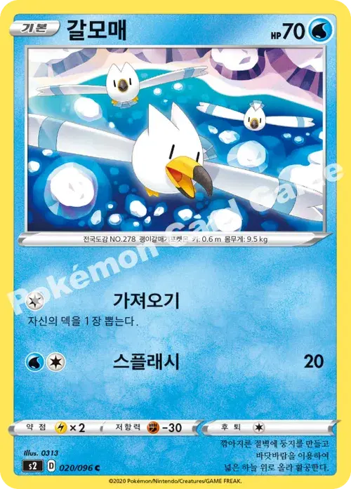 갈모매