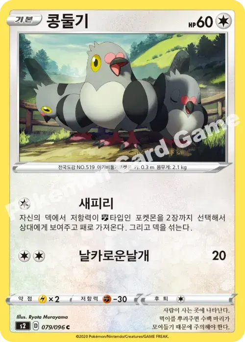 콩둘기