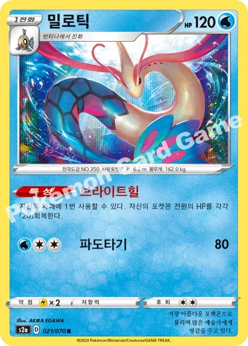 밀로틱