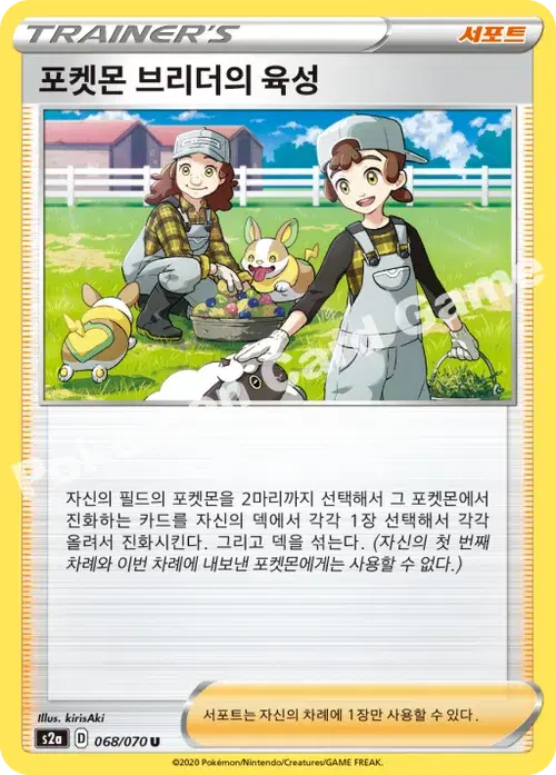 포켓몬 브리더의 육성