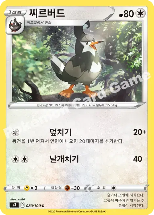 찌르버드