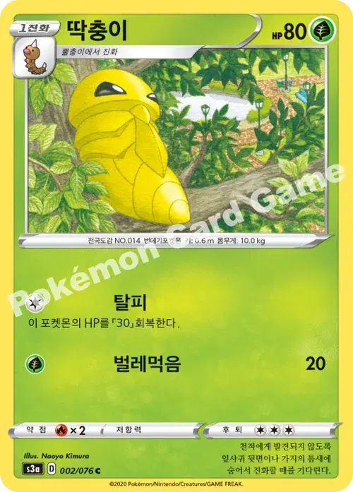 딱충이