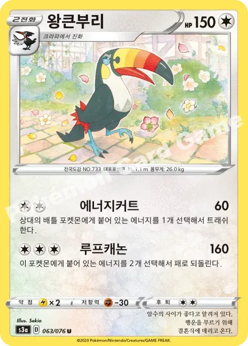왕큰부리