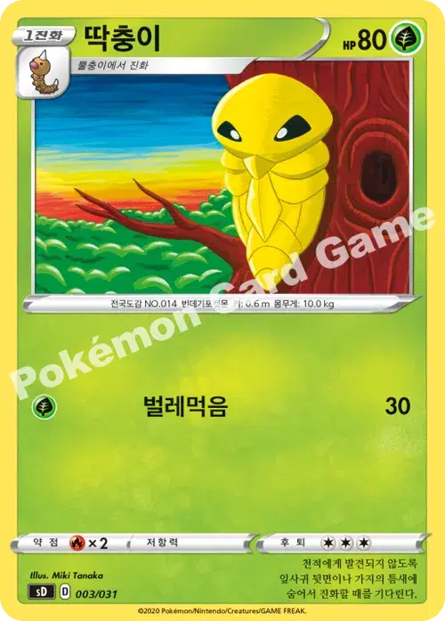 딱충이