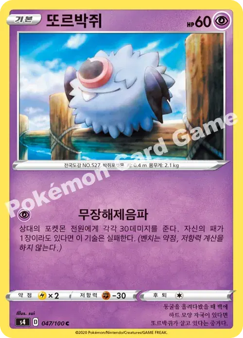 또르박쥐