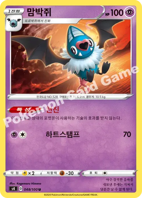 맘박쥐