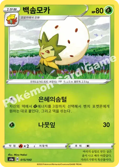백솜모카