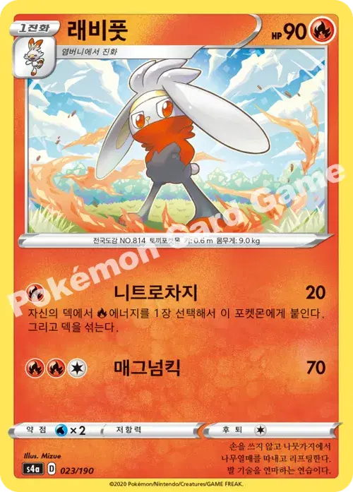 래비풋