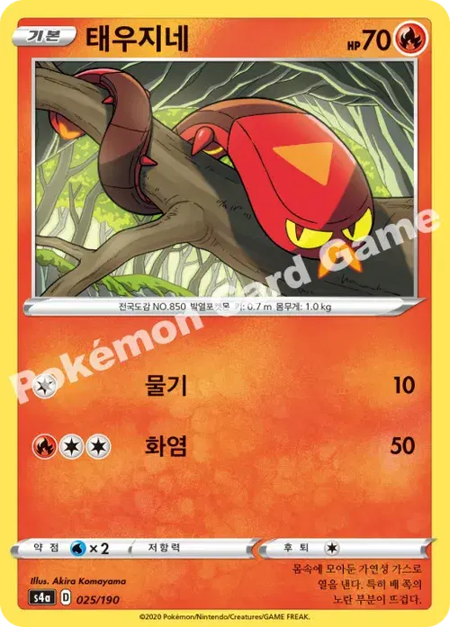 태우지네
