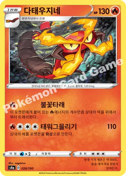 다태우지네