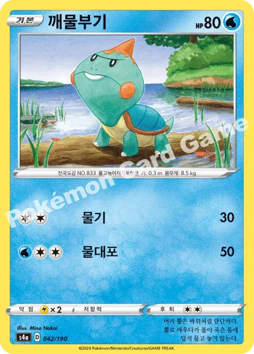 깨물부기