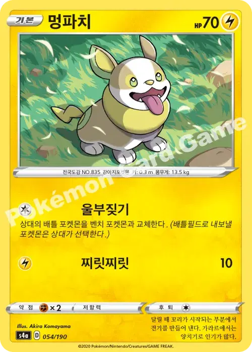 멍파치