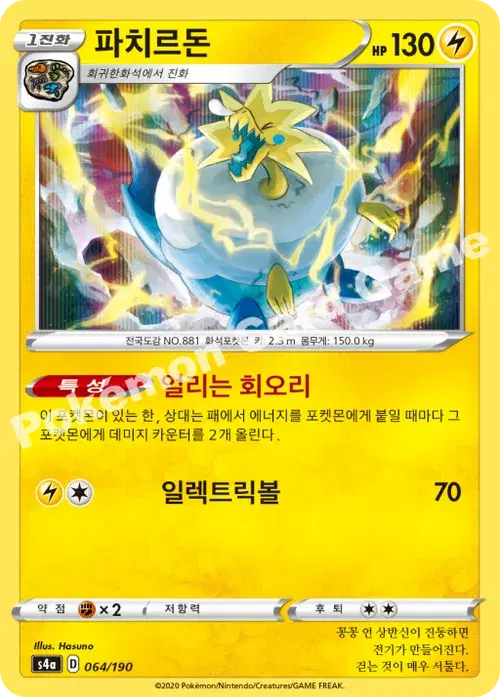 파치르돈