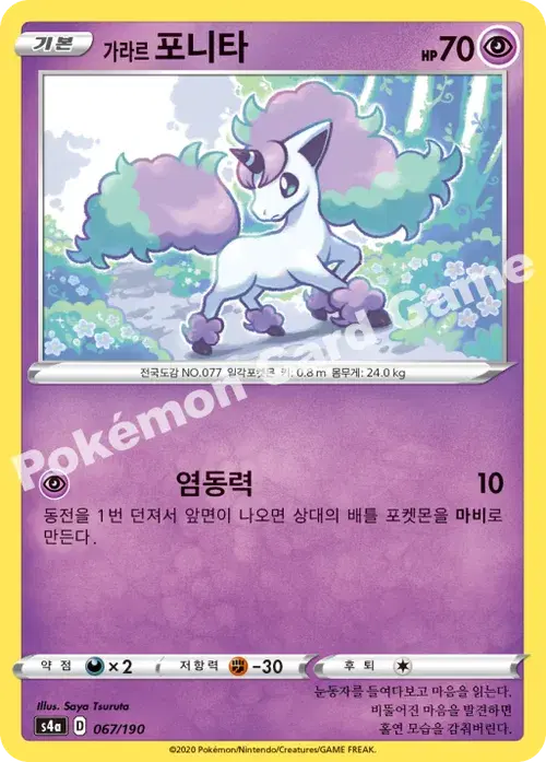 가라르 포니타