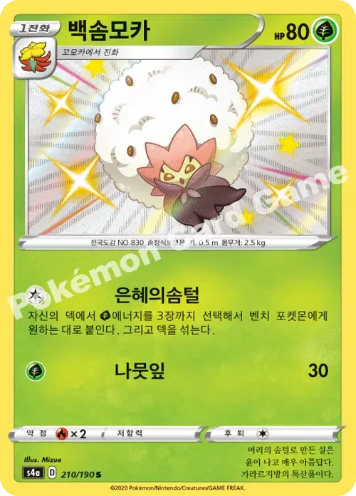 백솜모카