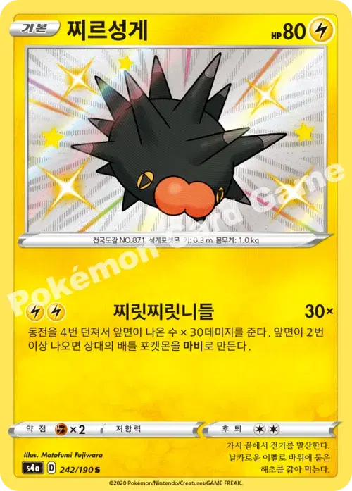 찌르성게