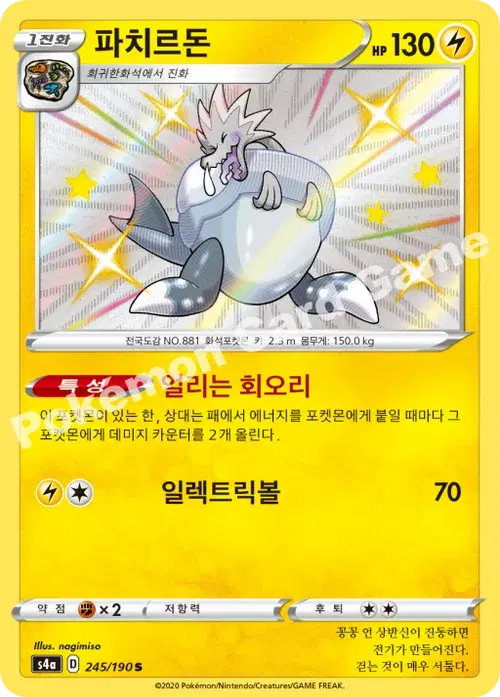 파치르돈