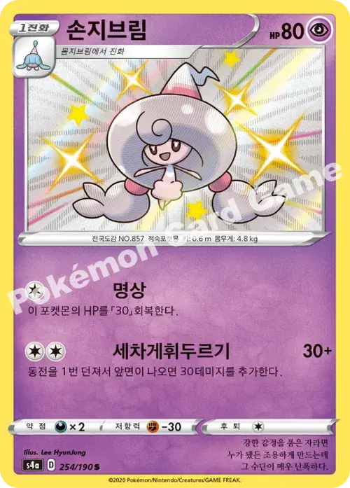손지브림