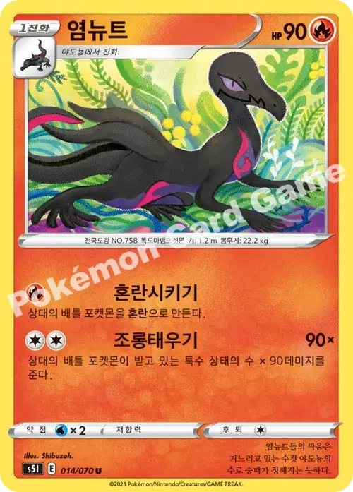 염뉴트