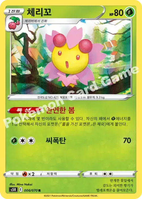 체리꼬