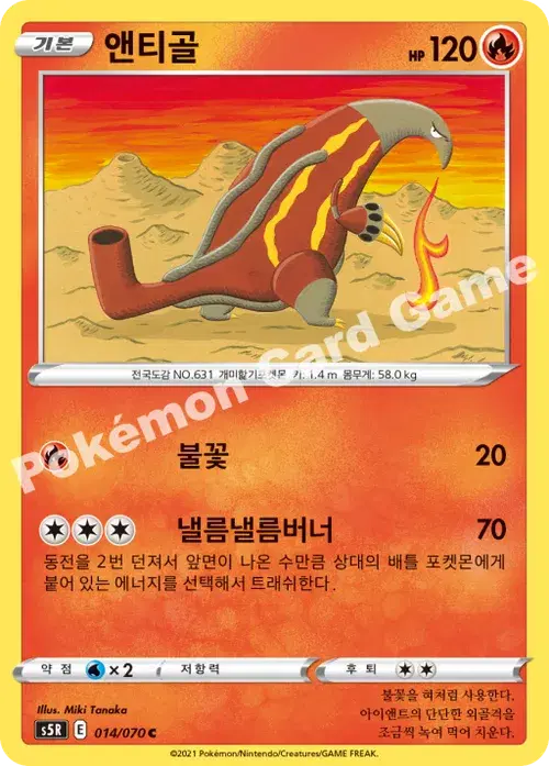 앤티골