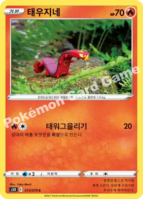 태우지네