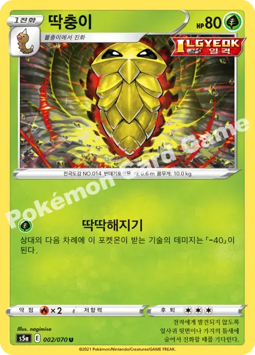 딱충이