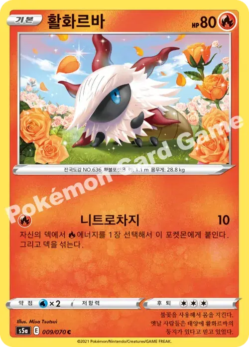활화르바