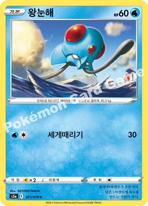 왕눈해