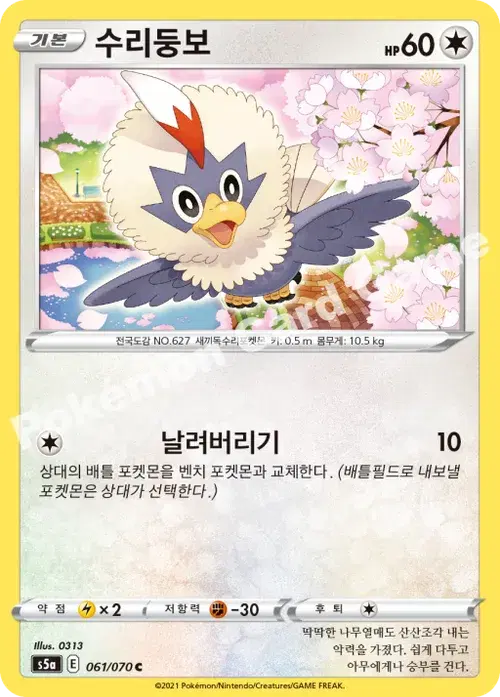 수리둥보