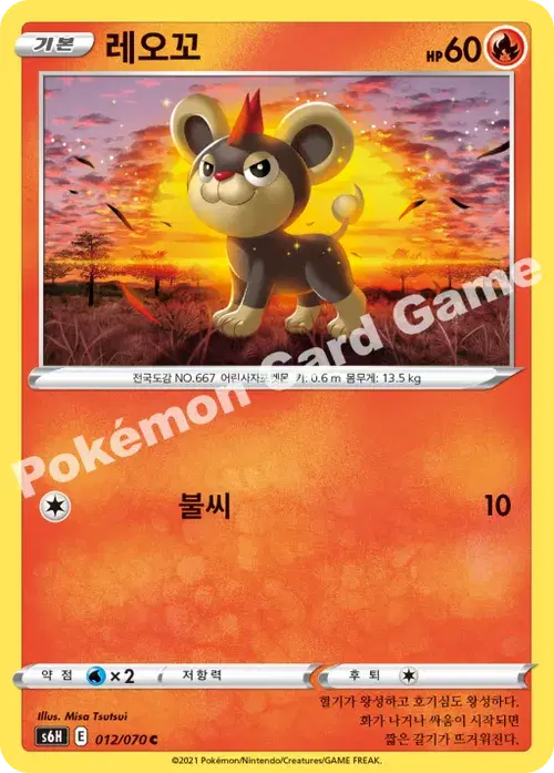 레오꼬