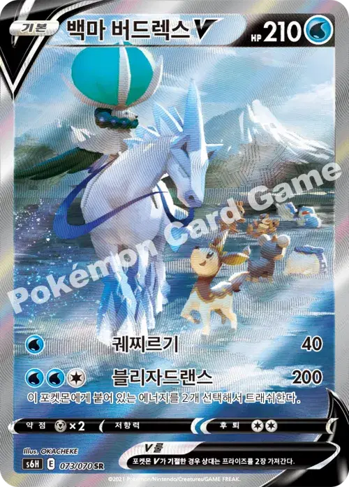 백마 버드렉스 V