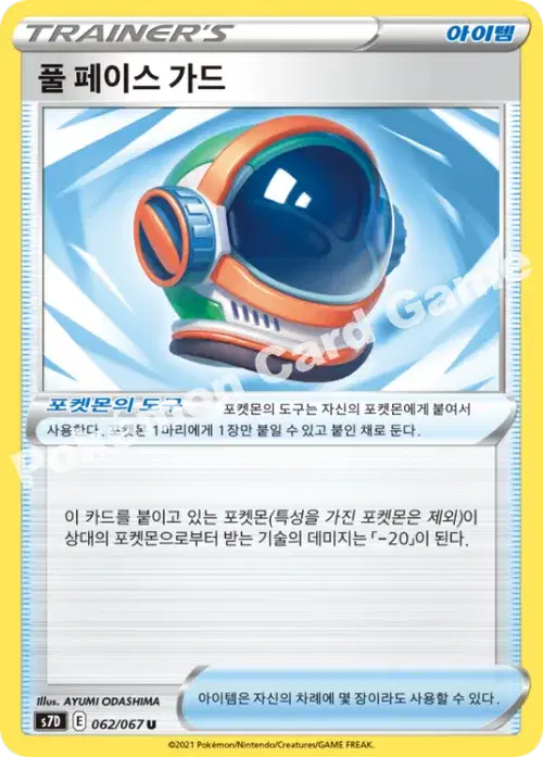 풀 페이스 가드