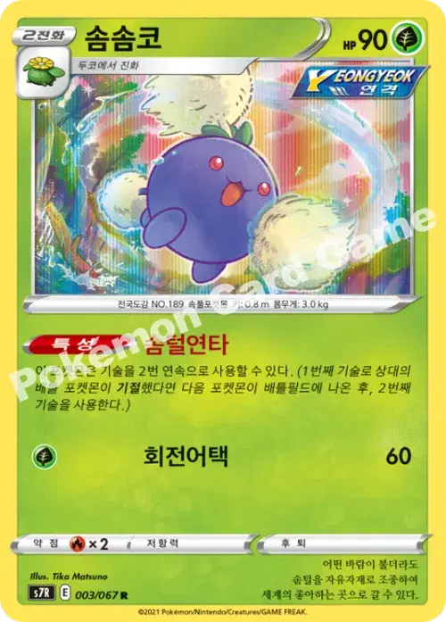 솜솜코