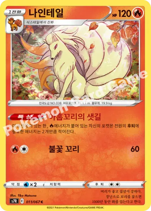 나인테일