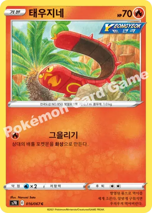 태우지네