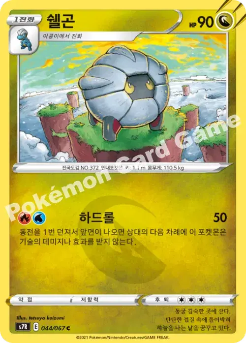 쉘곤
