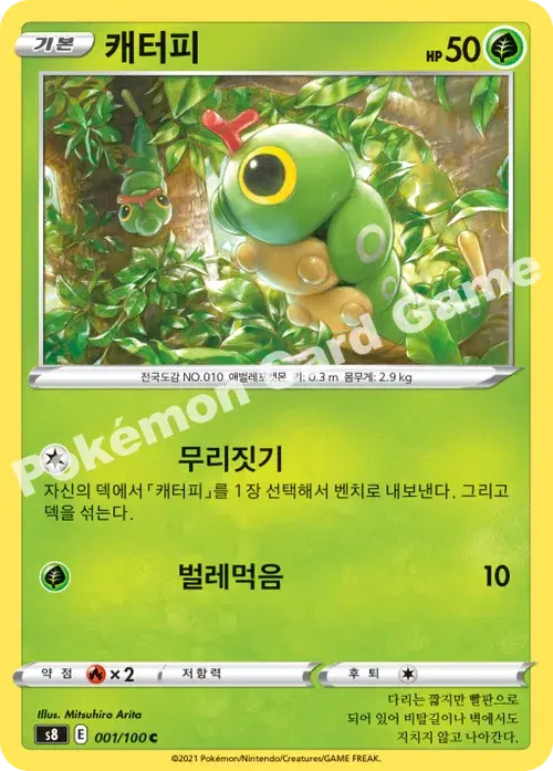 캐터피