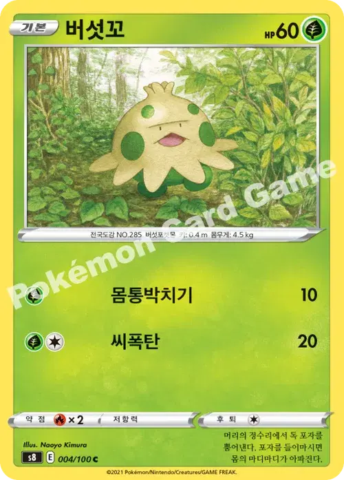 버섯꼬