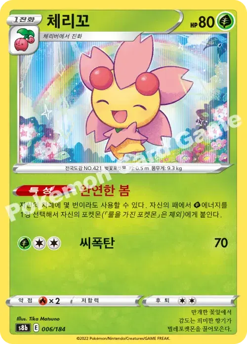 체리꼬