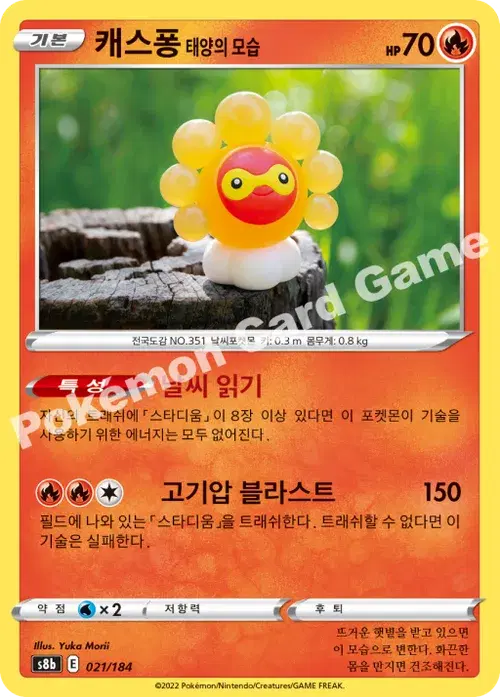 캐스퐁 태양의 모습