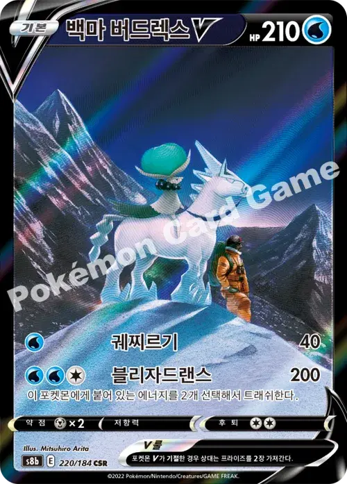 백마 버드렉스 V