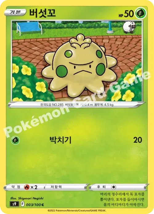 버섯꼬