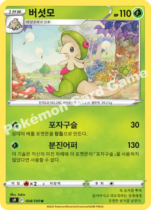 버섯모